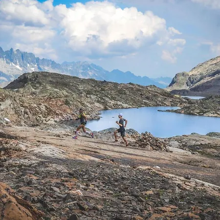 Le Chamois فندق ألب دويز